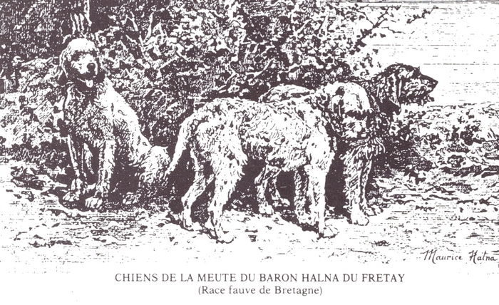Equipage Halna du Fretay - Illustration tirée de l'ouvrage Deux Siècles de Vènerie à travers la France - H. Tremblot de la Croix et B. Tollu (1988)